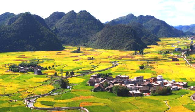 生態(tài)環(huán)境部、農(nóng)業(yè)農(nóng)村部發(fā)布《關于進一步推進農(nóng)村生活污水治理的指導意見》