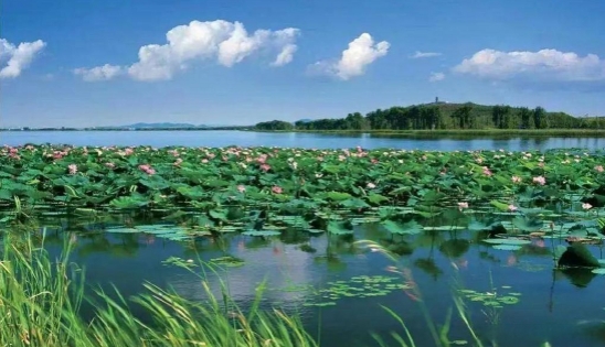 關(guān)于全面推進(jìn)美麗遼寧建設(shè)的實(shí)施意見（征求意見稿）發(fā)布！